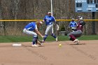 Softball vs Springfield  Wheaton College Softball vs Springfield College. - Photo by: KEITH NORDSTROM : Wheaton, Baseball